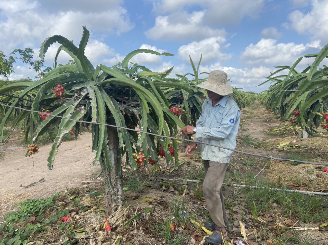 Thông báo tuyển lao động kỹ thuật làm việc tại Bình Thuận (Giám sát chất lượng)